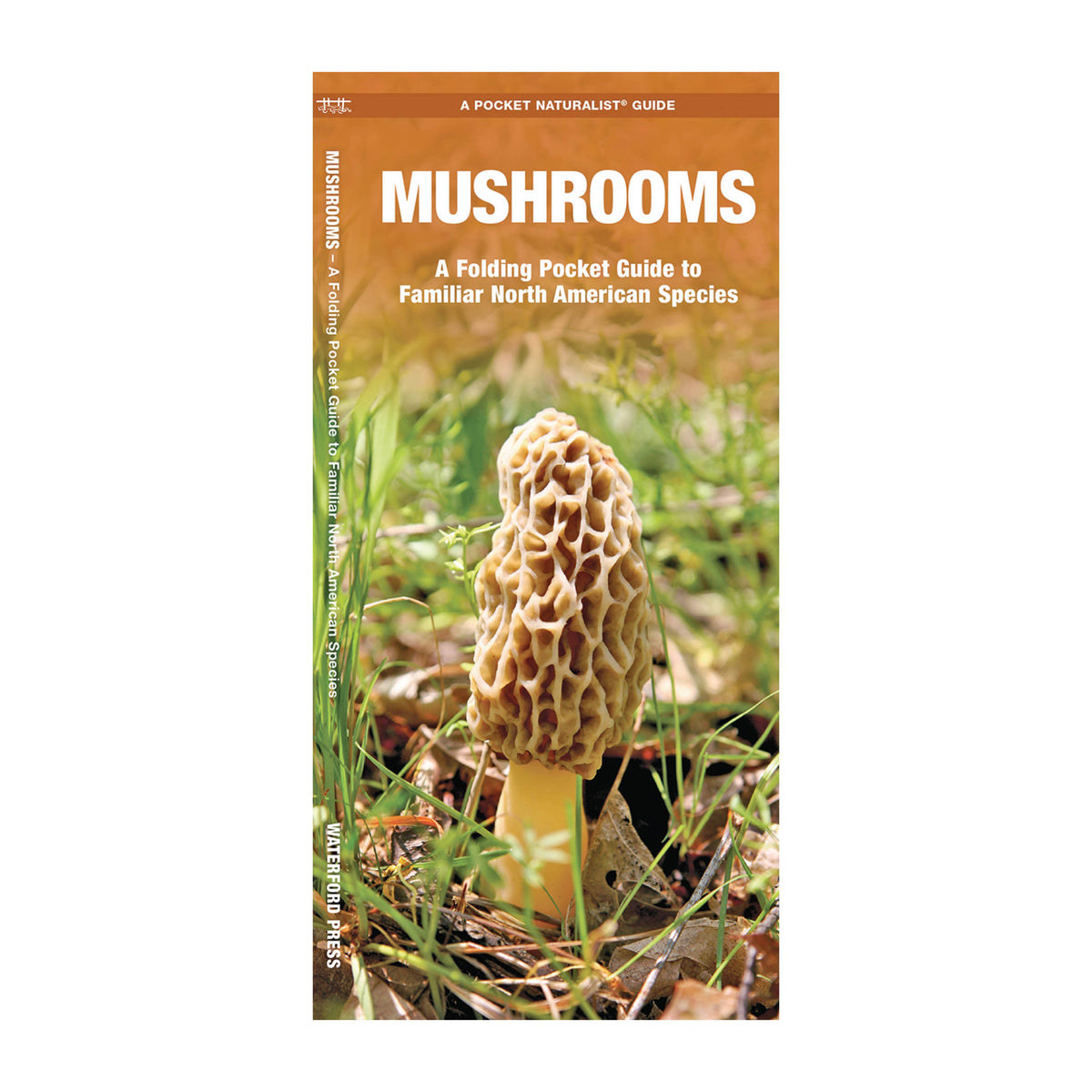 Mushrooms Field Guide