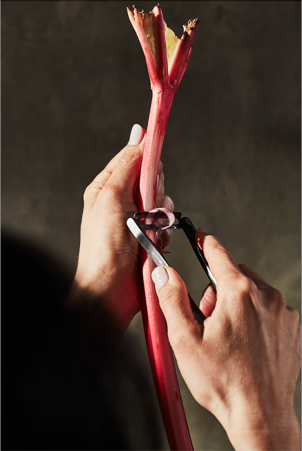 The Forever Peeler: Stainless Steel