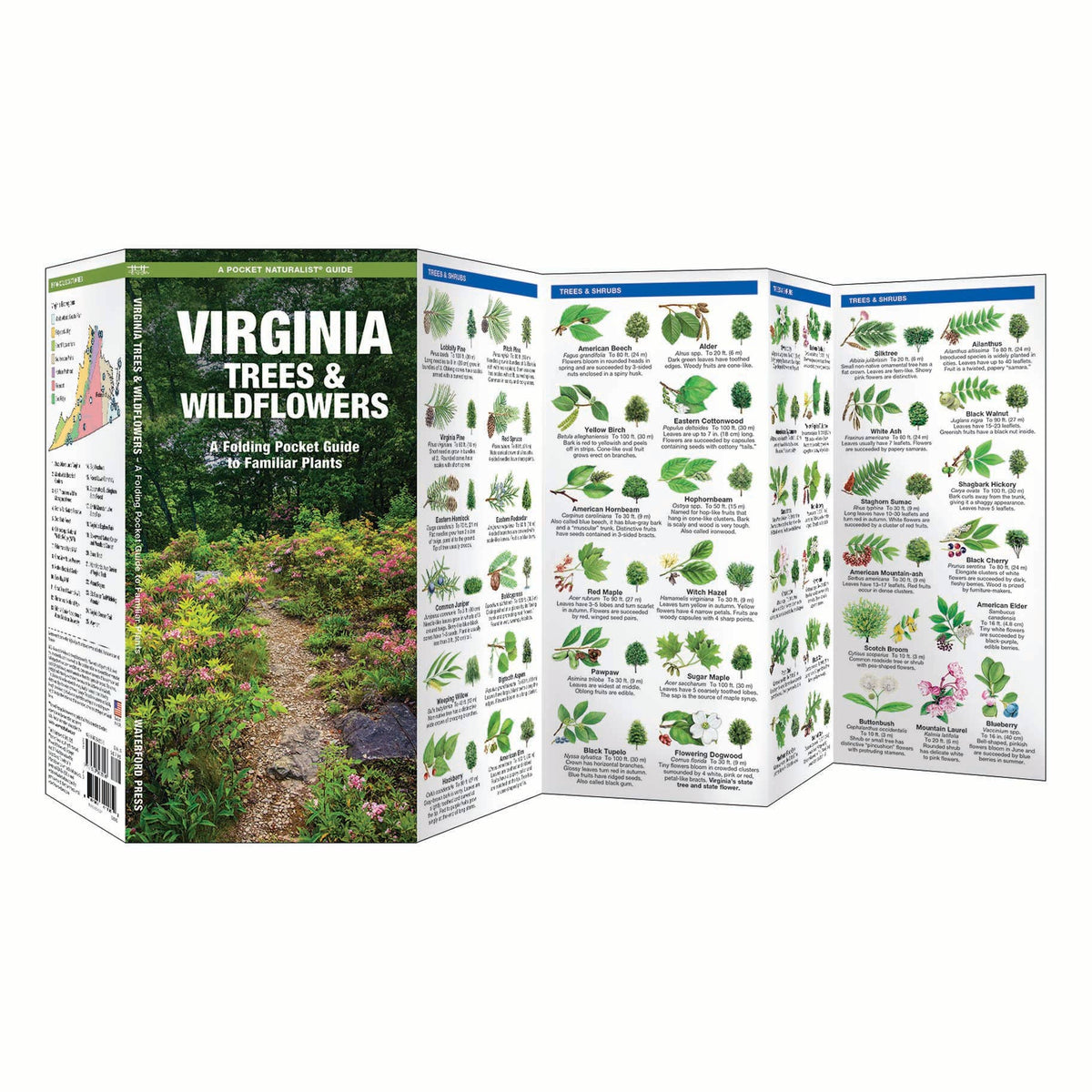 Virginia Trees &amp; Wildflowers Nature Guide