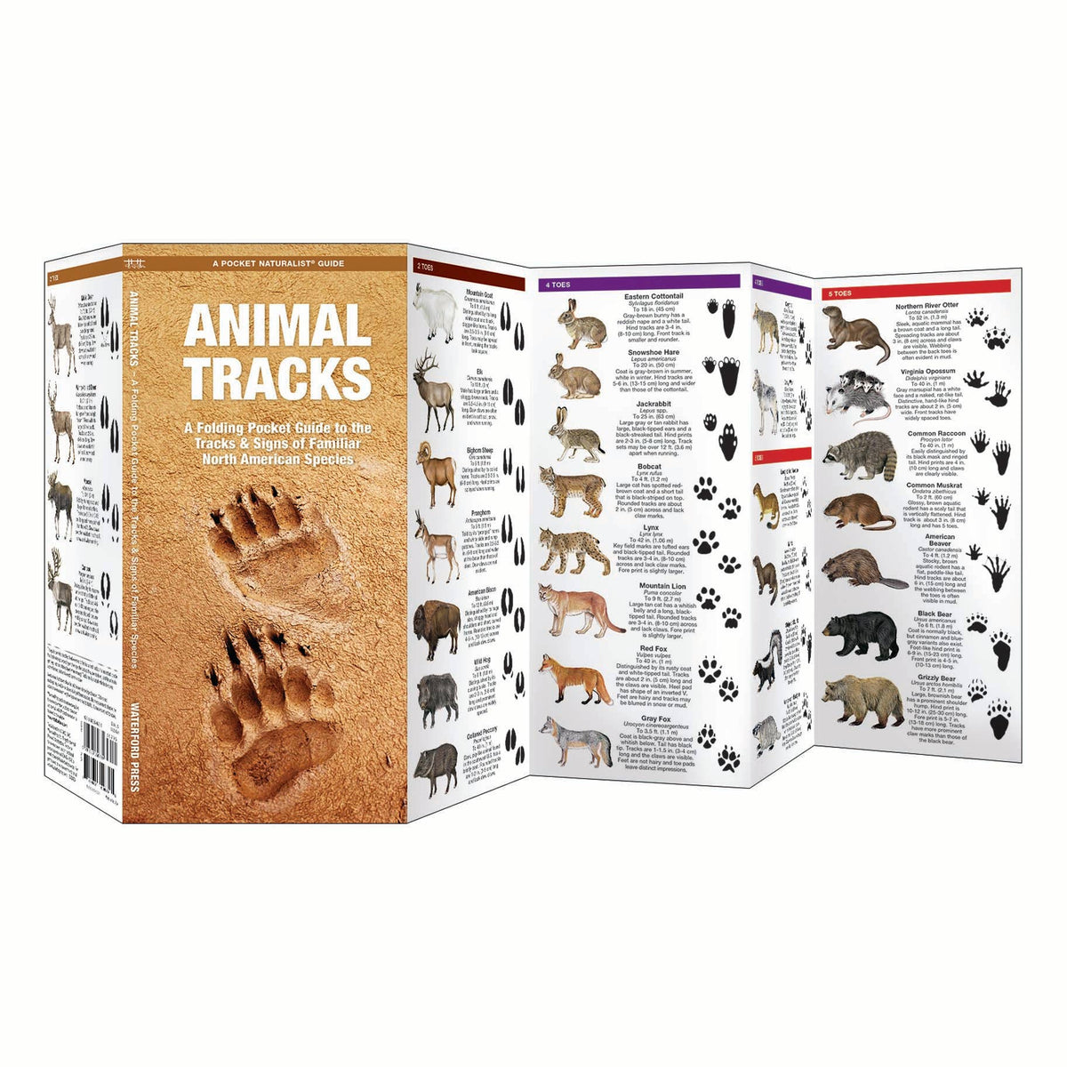 Animal Tracks Folding Pocket Guide