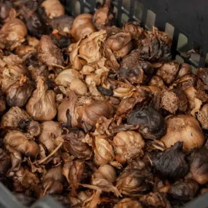 Black Garlic - Single Origin Spice &amp; Seasoning